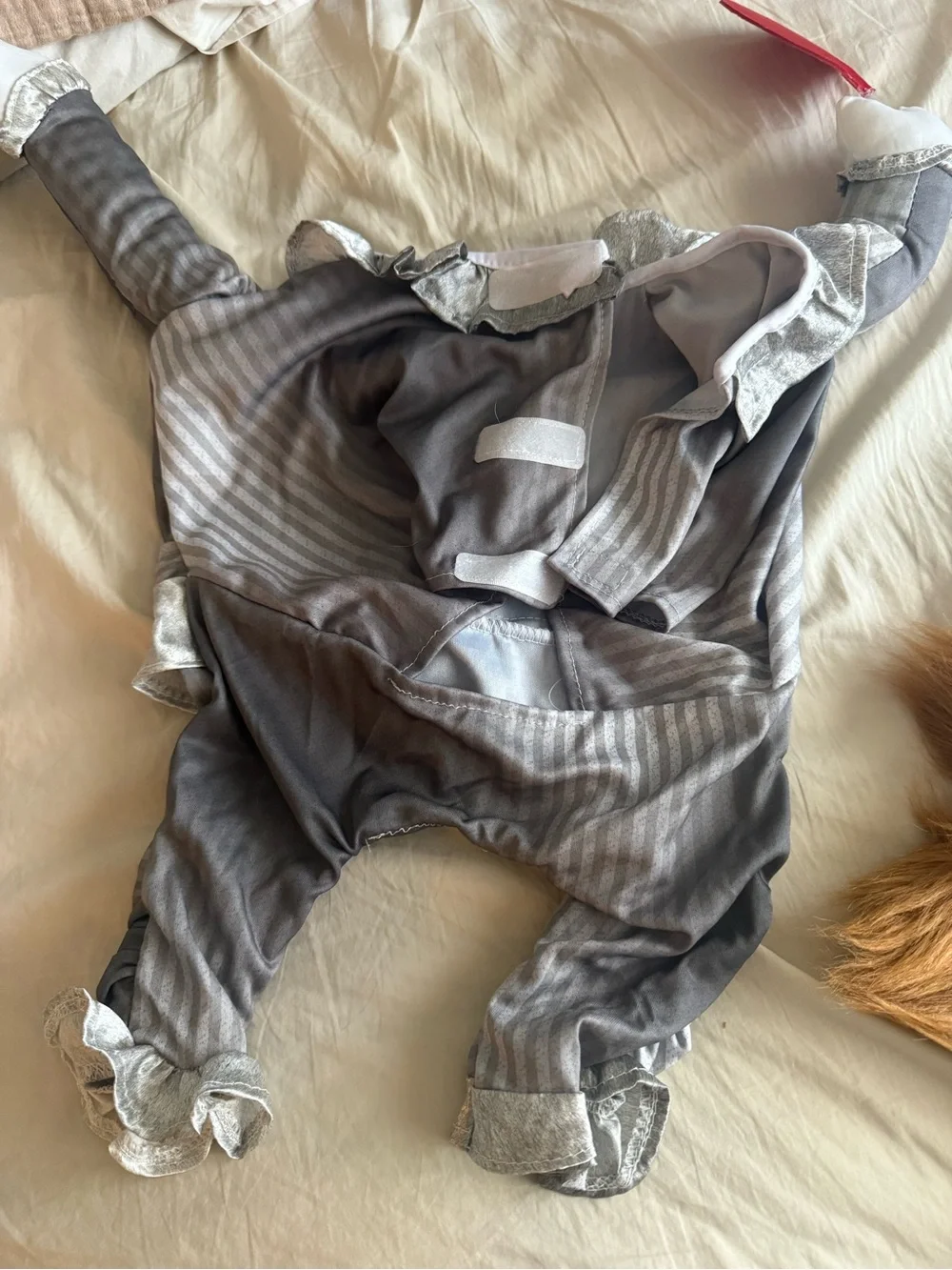 Spirit it costume